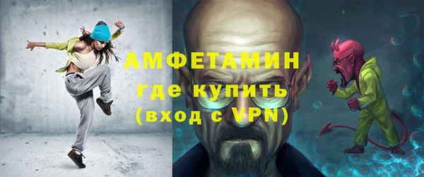 сатива Инта