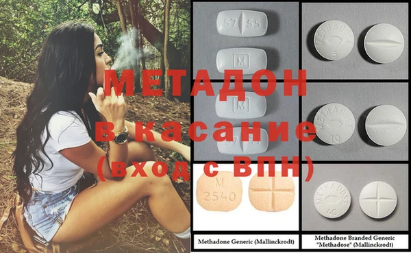 сатива Инта