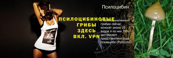 jwh Инсар