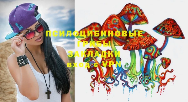 сатива Инта