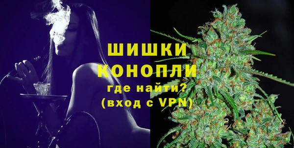 стафф Зеленокумск