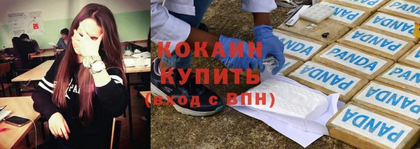 сатива Инта