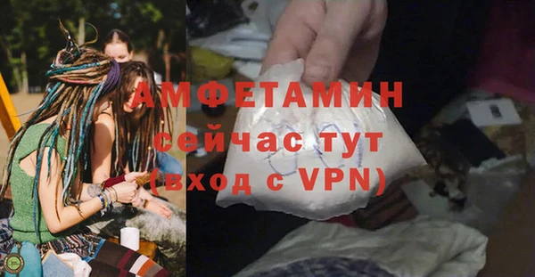сатива Инта
