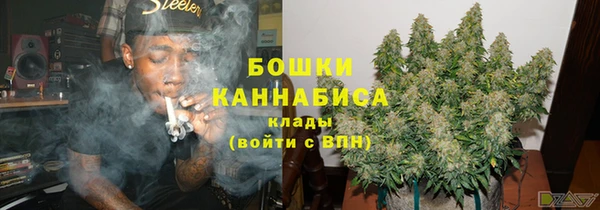 сатива Инта