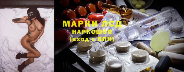 сатива Инта